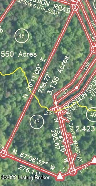 Lot View of Survey Plat