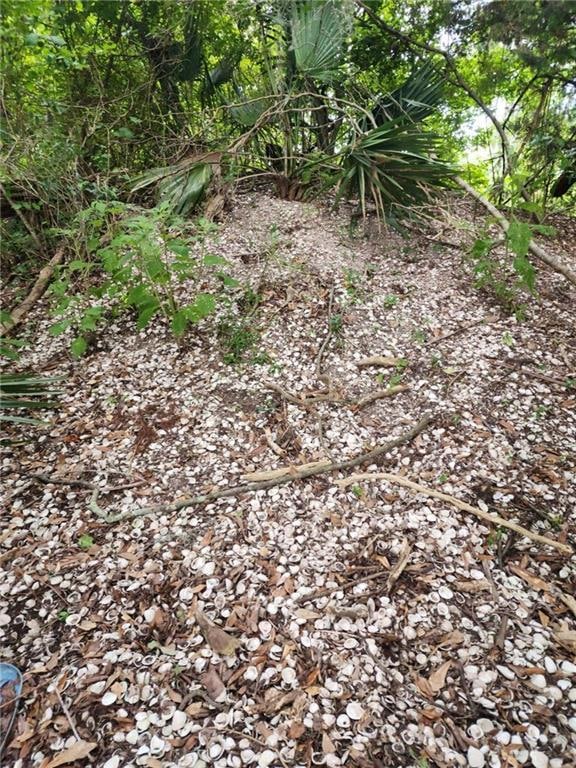 1.40 Acres Vacant Land, Ponchatoula, LA 70454 - photo 1