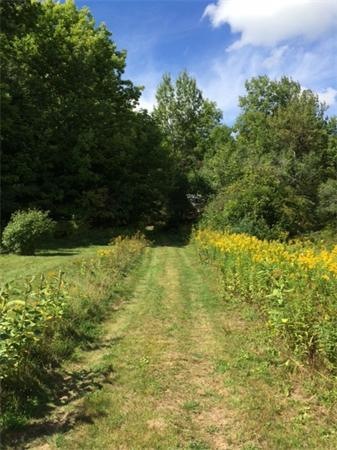 0 Potash Hill Rd, Cummington, MA 01026 - photo 1