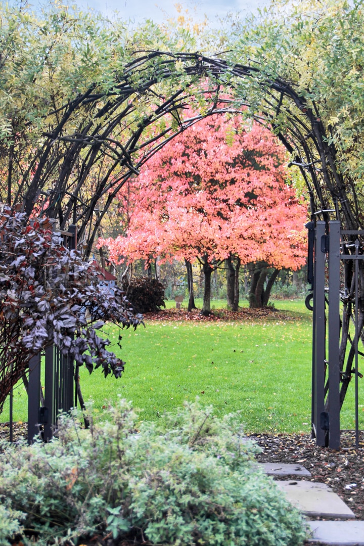 262 E South St, Elmhurst, IL 60126 - photo 1