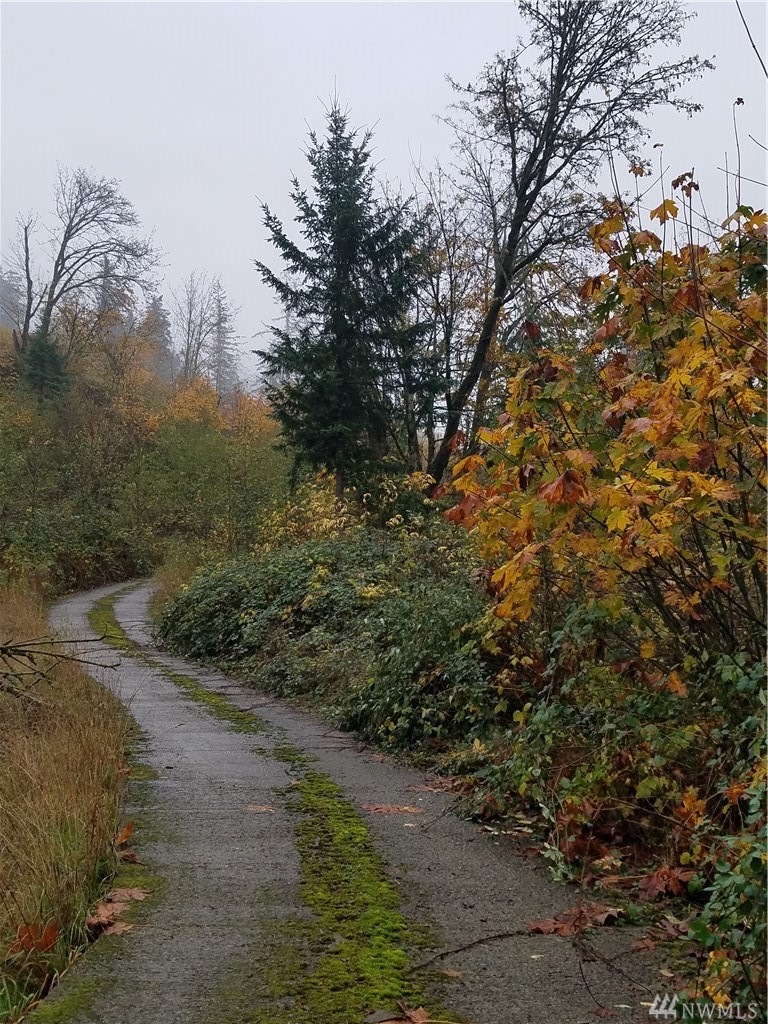 4111 Kamphouse Rd, Sumas, WA 98295 - photo 1