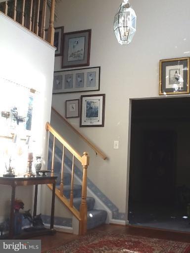 3008 Lusitania Dr, Stafford, VA 22554 - photo 1