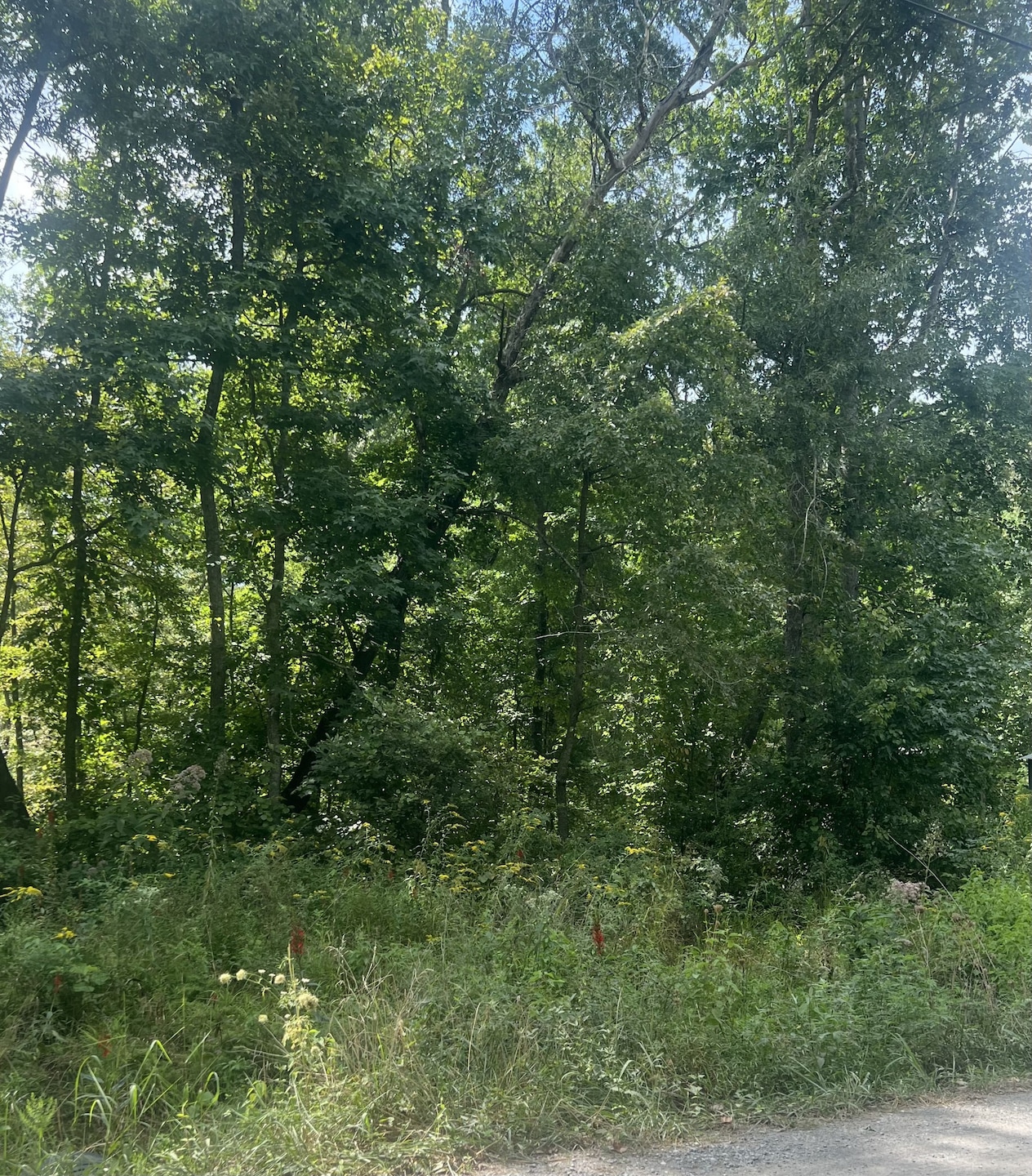 Sold $10,000 • Co-Listing Agent