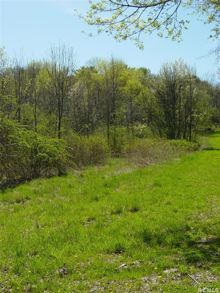 0 Schoharie Turnpike unit 90350, Athens, NY 12015 - photo 1