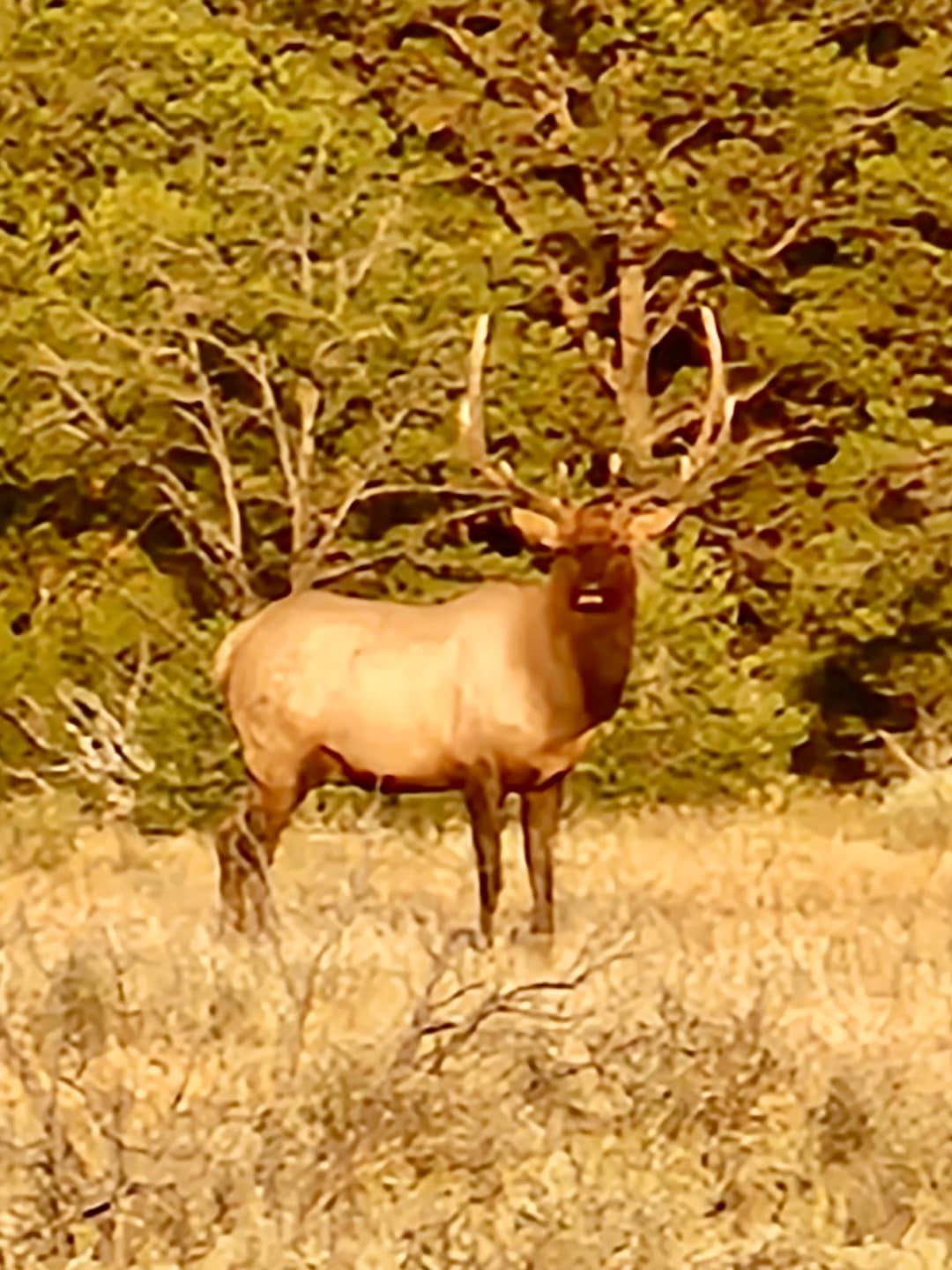 0 Hwy 96 and 595, Regina, NM 87017 - photo 1