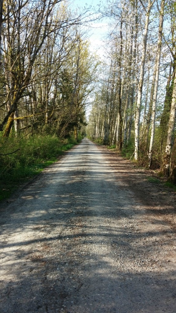 29609 SE 408th St, Enumclaw, WA 98022 - photo 1