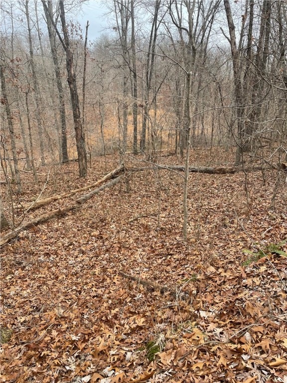 0 Southam Ln unit 1235657, Bella Vista, AR 72714 - photo 1