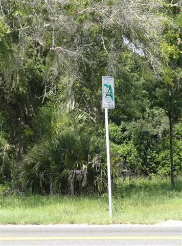 30 James Smith Rd, Crawfordville, FL 32327 - photo 1