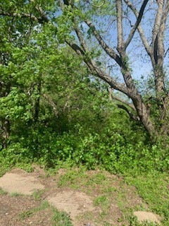 TBD S Lone Star Pkwy, Moody, TX 76557 - photo 1