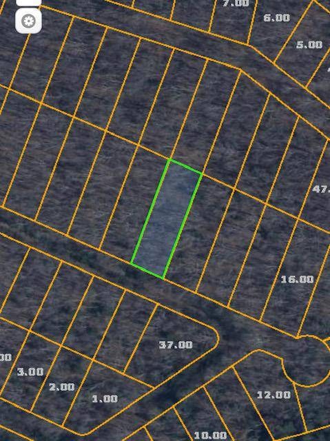 Lot 100 Narcissa Dr unit 100, Crab Orchard, TN 37854 - photo 1