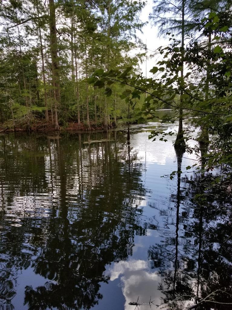 274 Wildwood Rd unit na, West Green, GA 31567 - photo 1