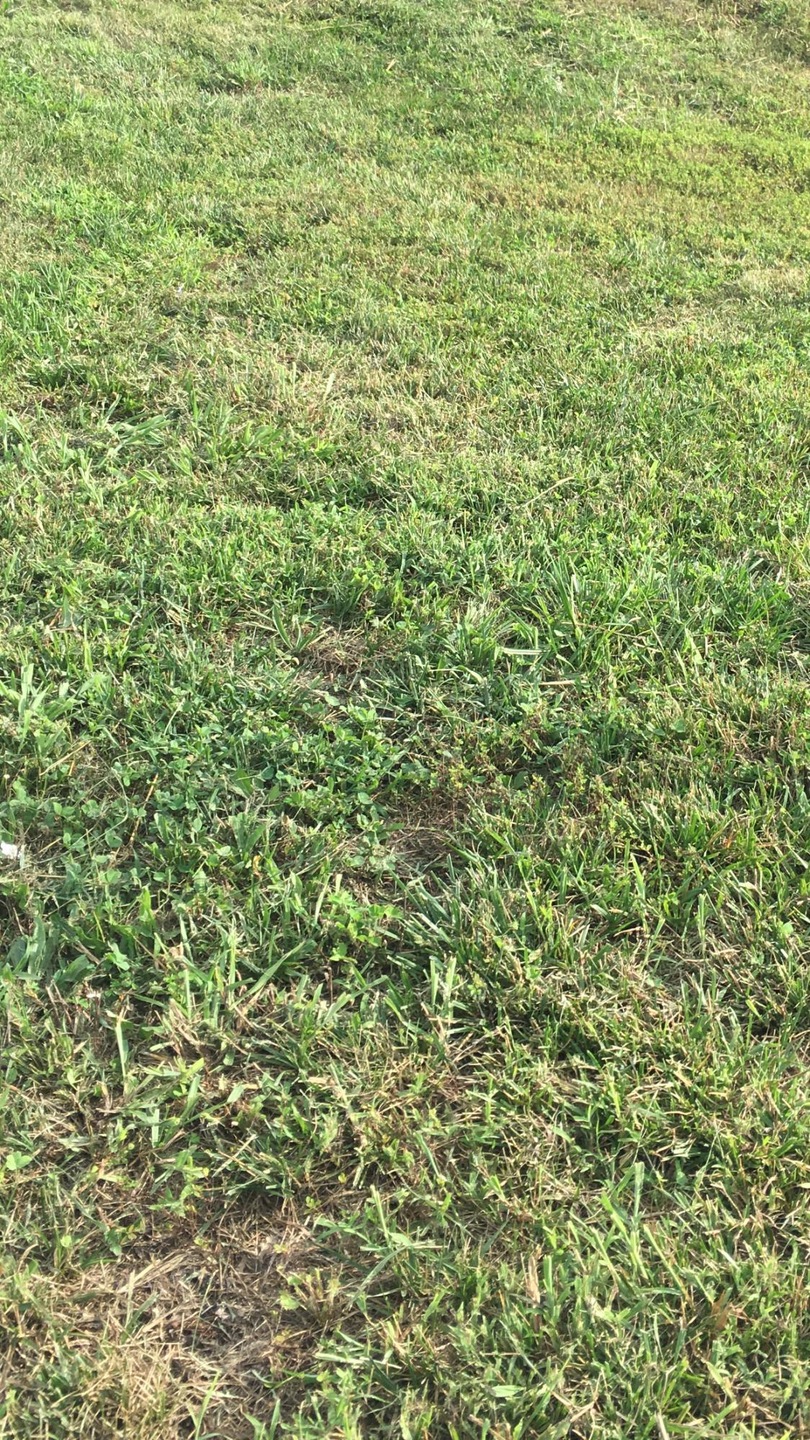 728 E Gallup Hill Rd, Nixa, MO 65714 - photo 1