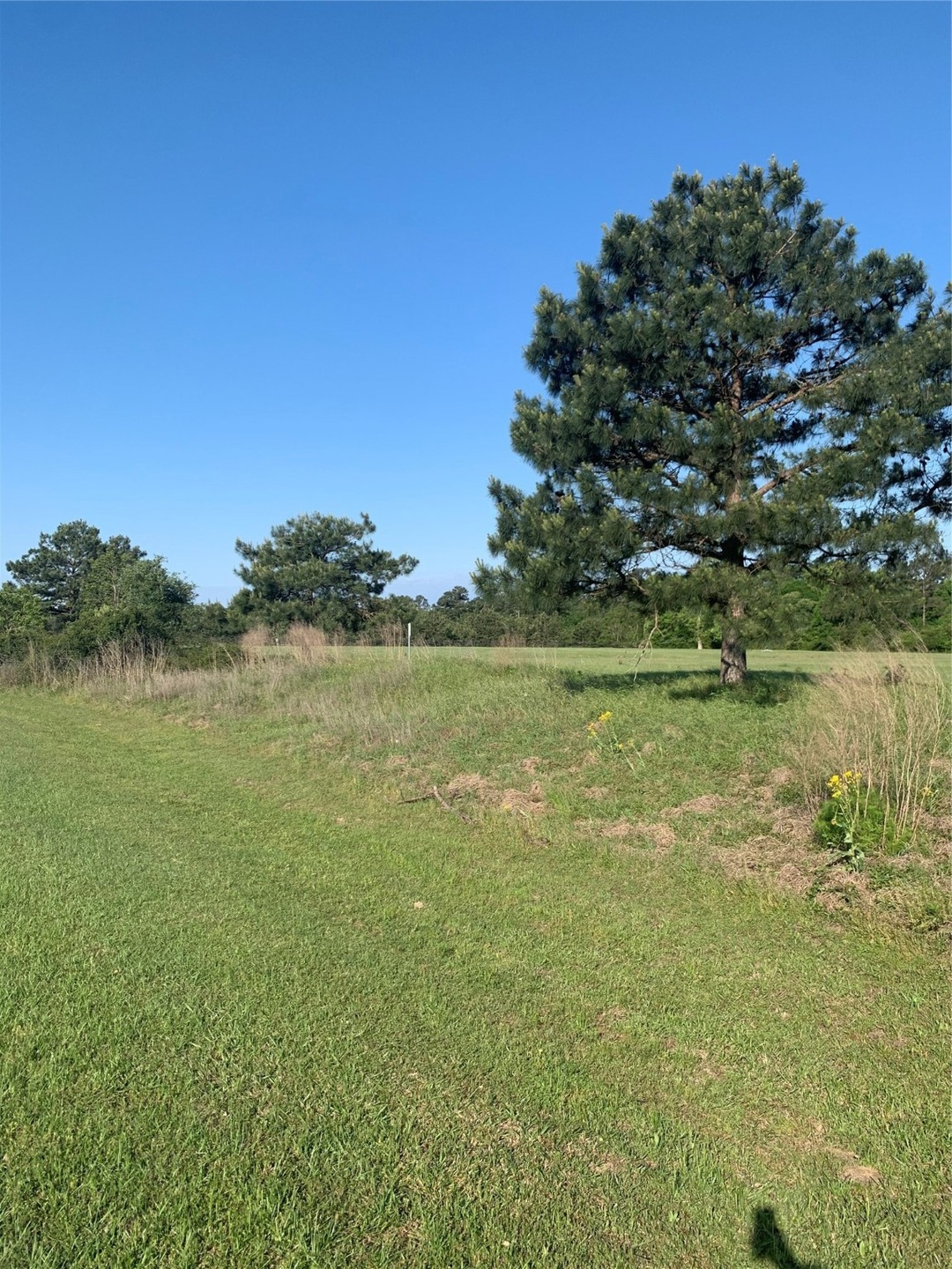 36725 Fm 1774 Rd, Magnolia, TX 77355 - photo 1