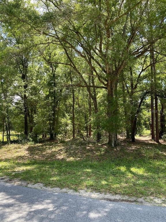 Beautiful corner lot