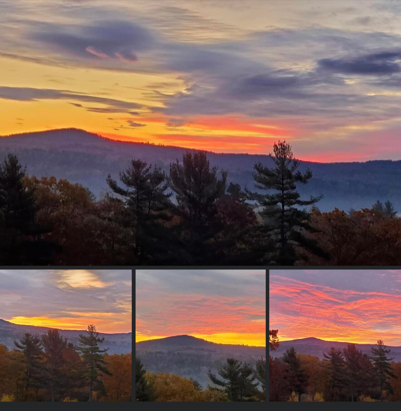 14 Gifford Ln, Bucksport, ME 04416 - photo 1