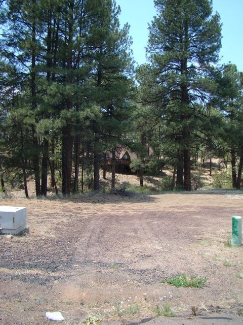 DSC07924