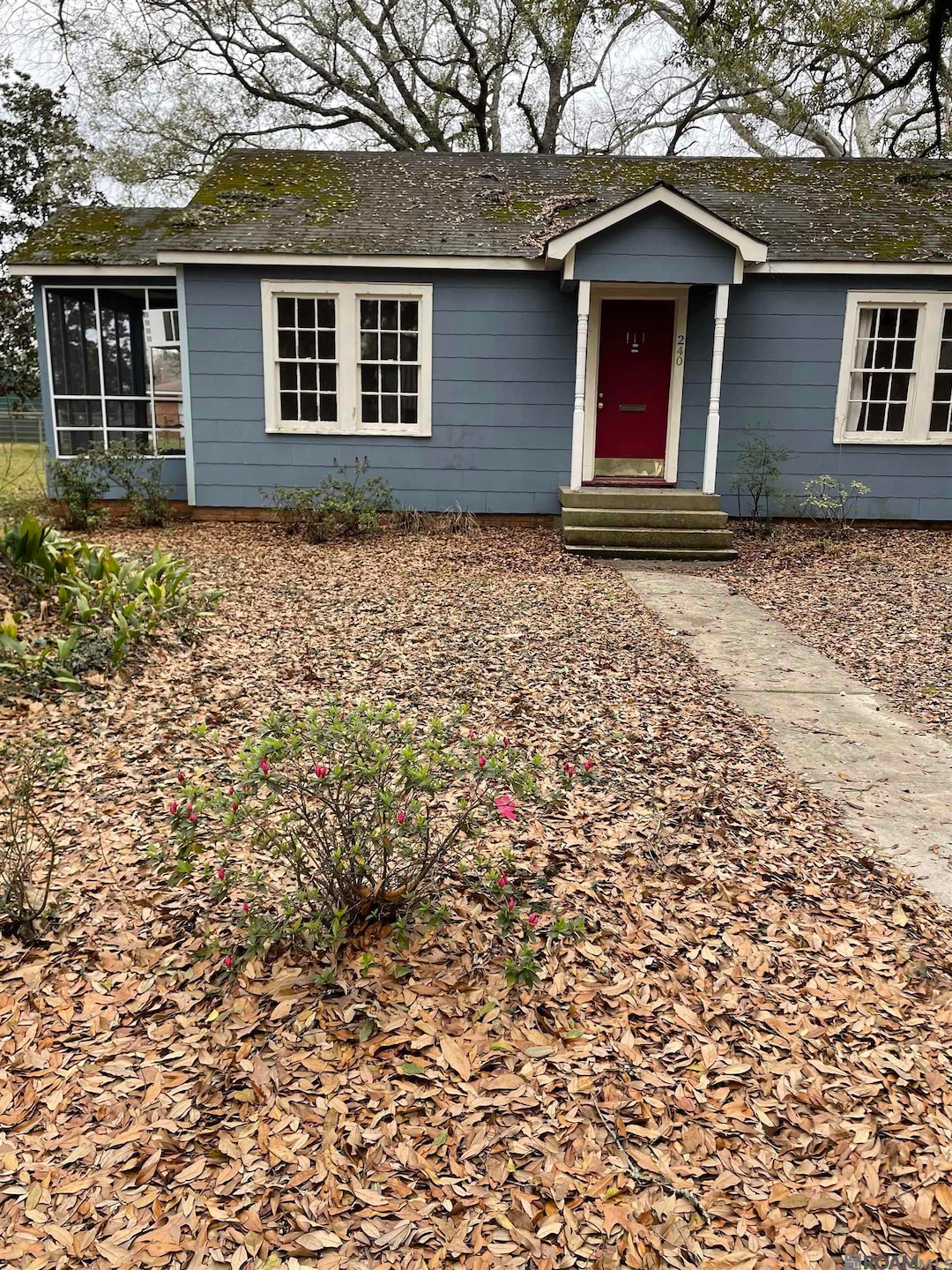 For Rent $1,350/month