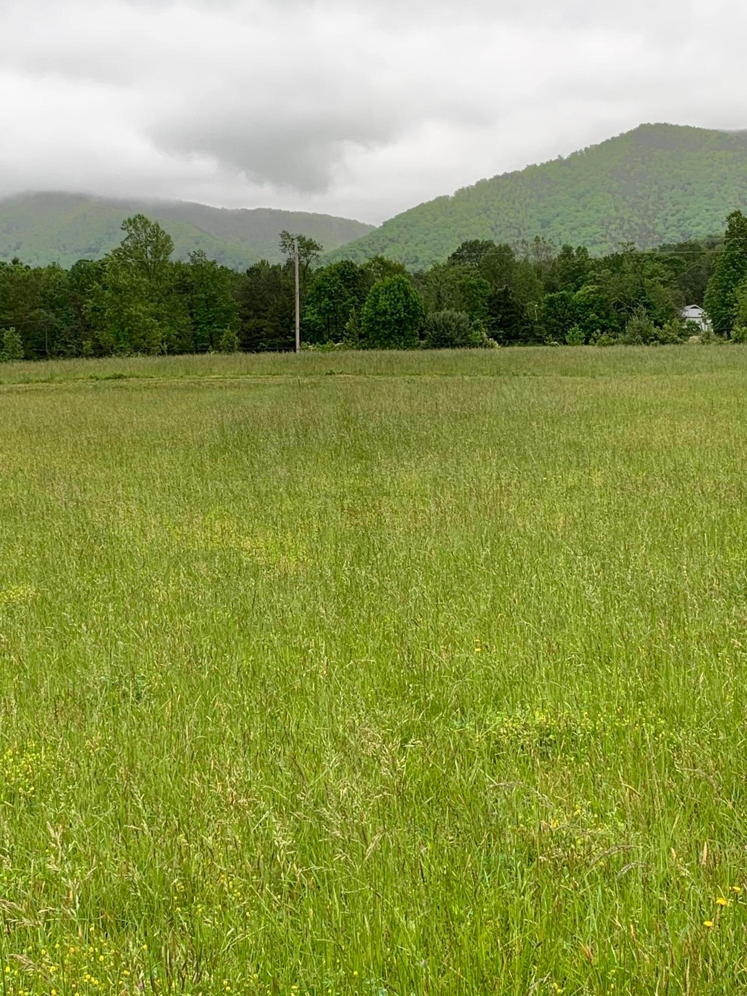 Lt 14 Old Mountain Rd, Greeneville, TN 37743 - photo 1