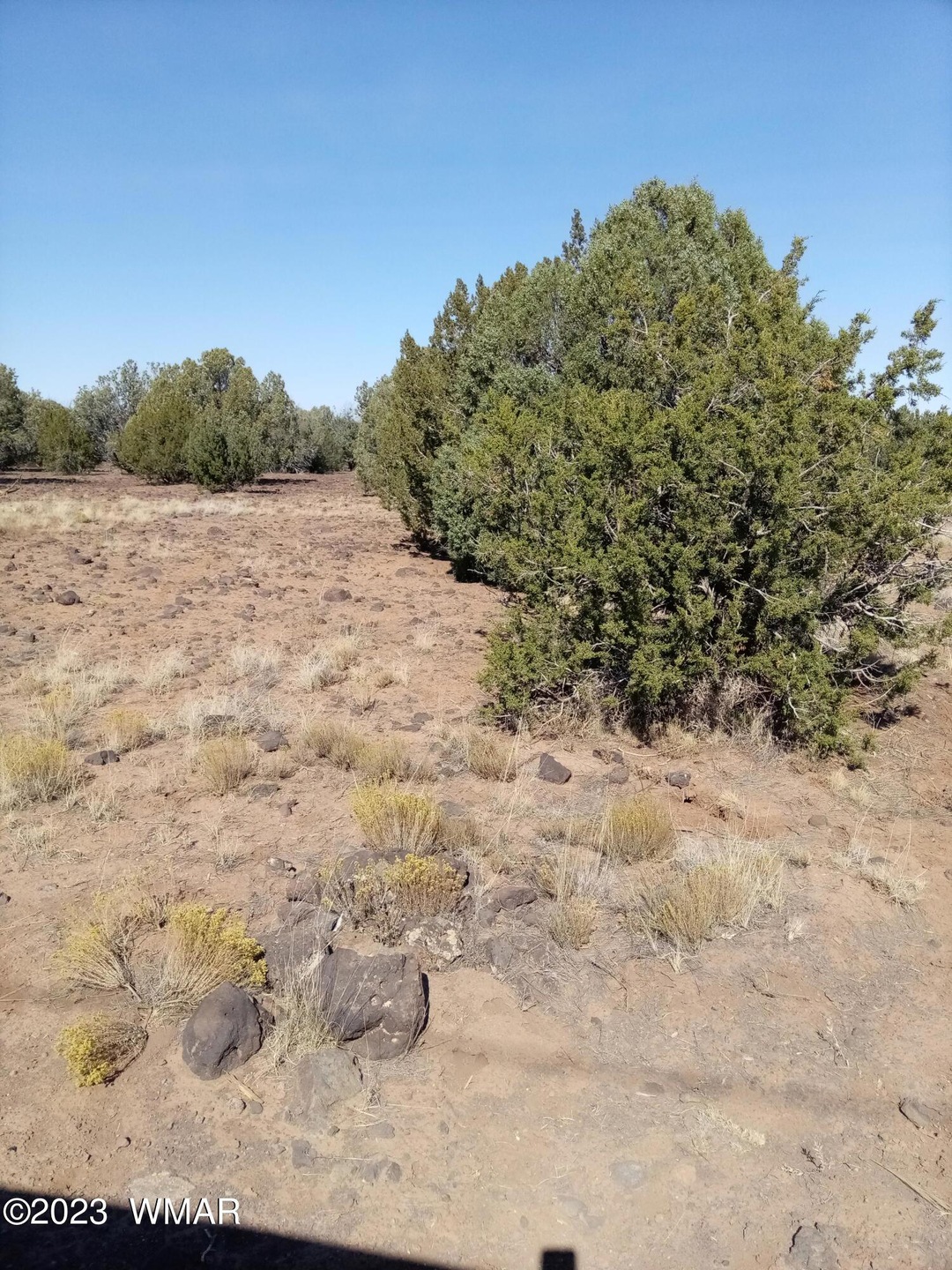 Land For Sale White Mountain Lakes
