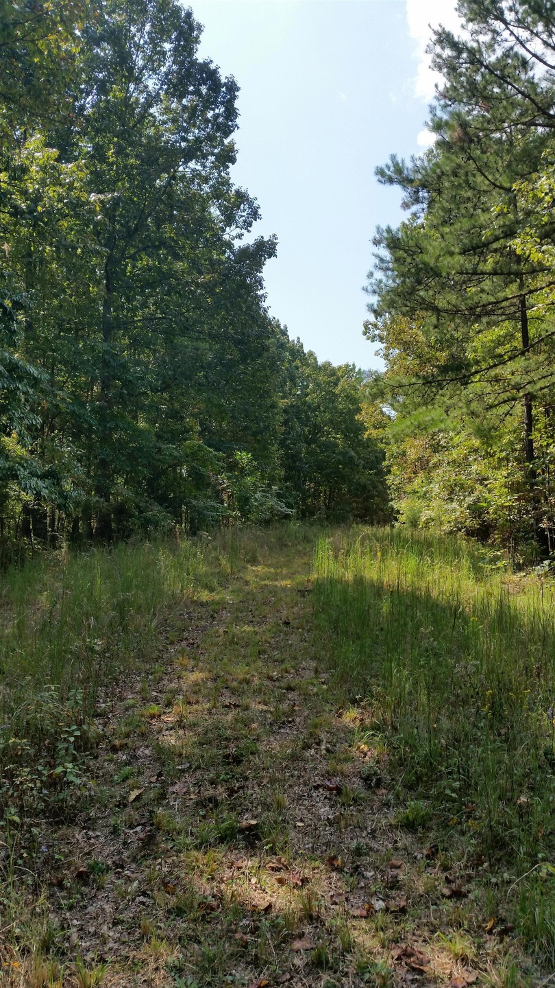 Access Trail-Right of Way on Property That Goes To The Back That Is Separate From Road Frontage