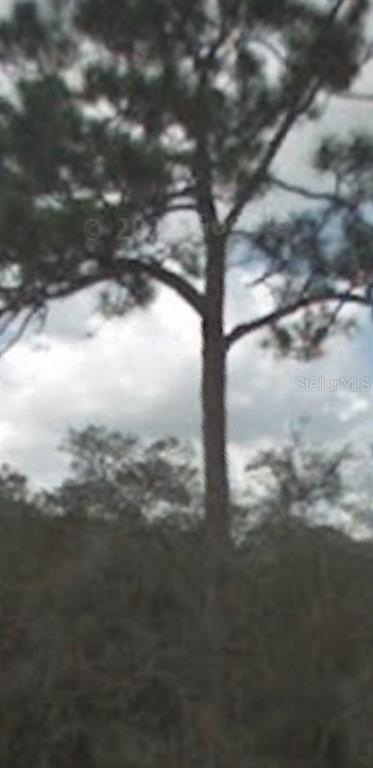 396 Twilight Dr, Lake Placid, FL 33852 - photo 1