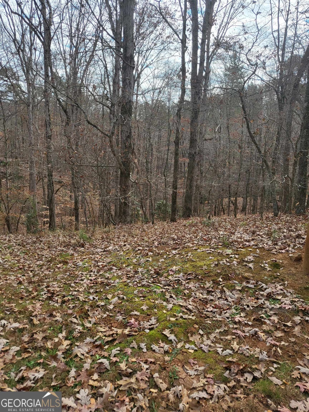 32B N Falliing Waters Dr, Demorest, GA 30535 - photo 1