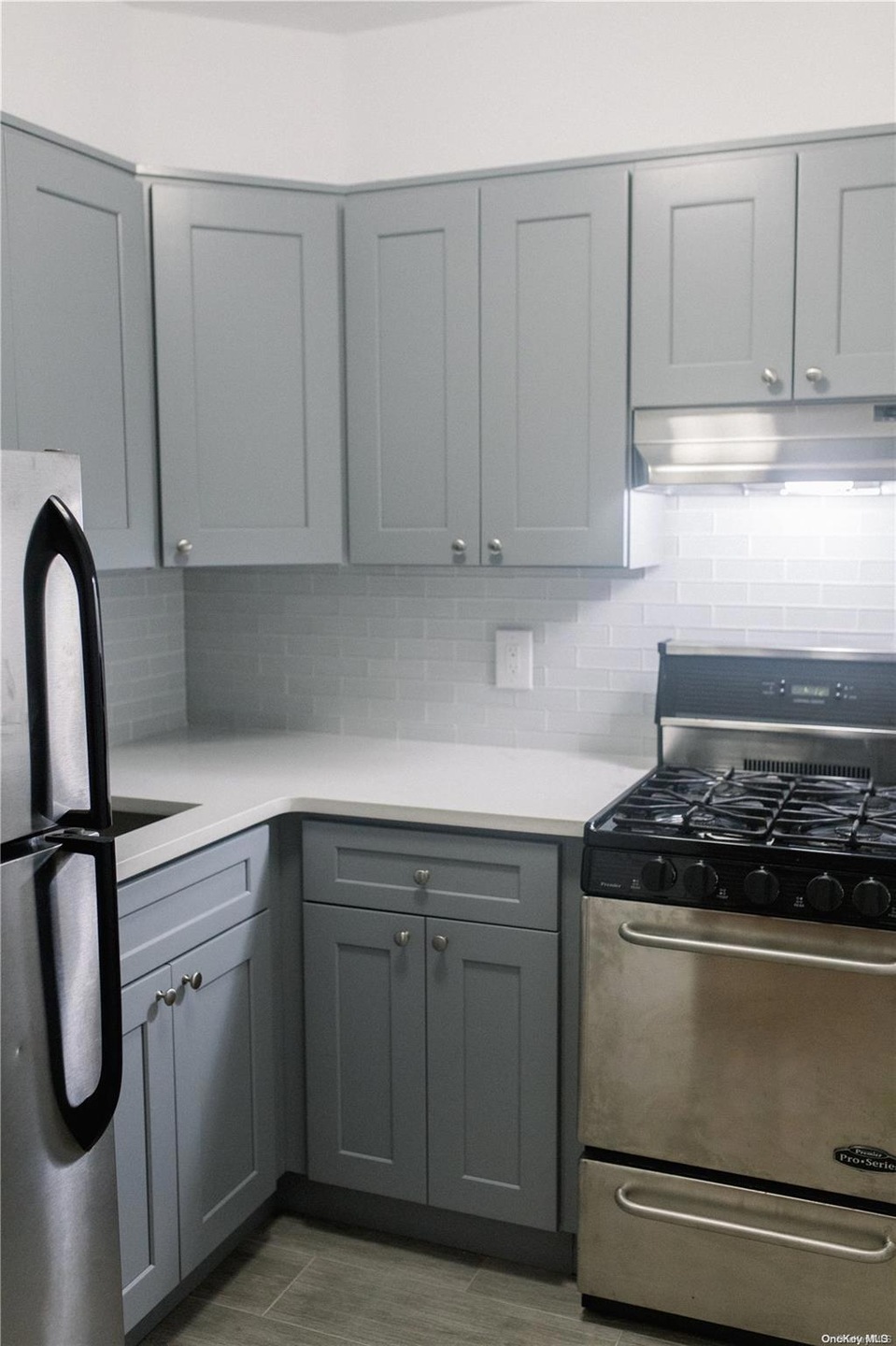 Birchwood Court unit 2A, Mineola, NY 11501 - photo 1