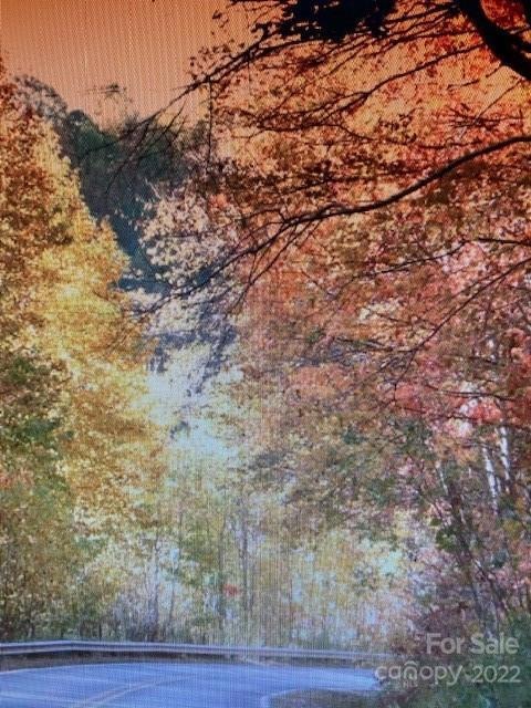 00 Trillium Ln, Mars Hill, NC 28754 - photo 1