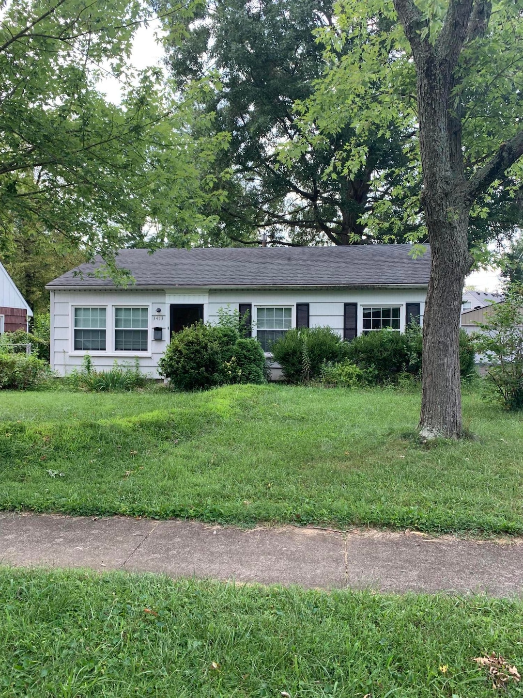 Photo Aug 02, 10 24 13 AM