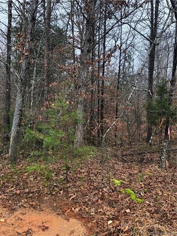 00 Furnace Creek Rd unit Lot 2A, Ironton Township, NC 28080 - photo 1