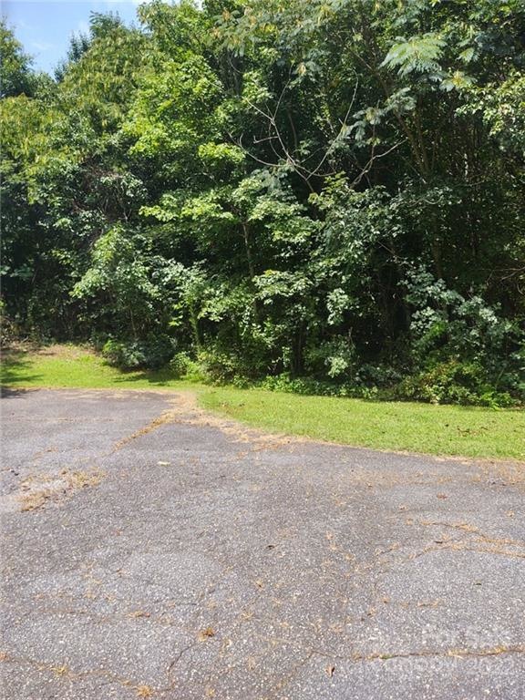 0 37th Ct NE unit 17-20, Hickory, NC 28601 - photo 1