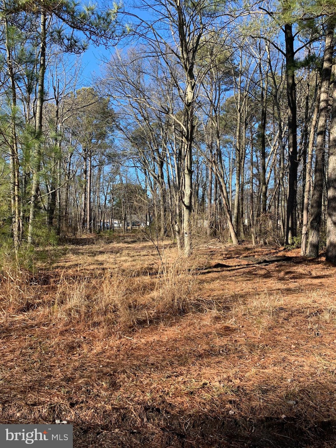 20770 Bayside Ave, Rock Hall, MD 21661 - photo 1