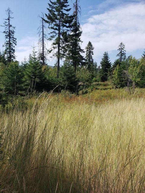 13525 Crescent Moon Dr, Bigfork, MT 59911 - photo 1