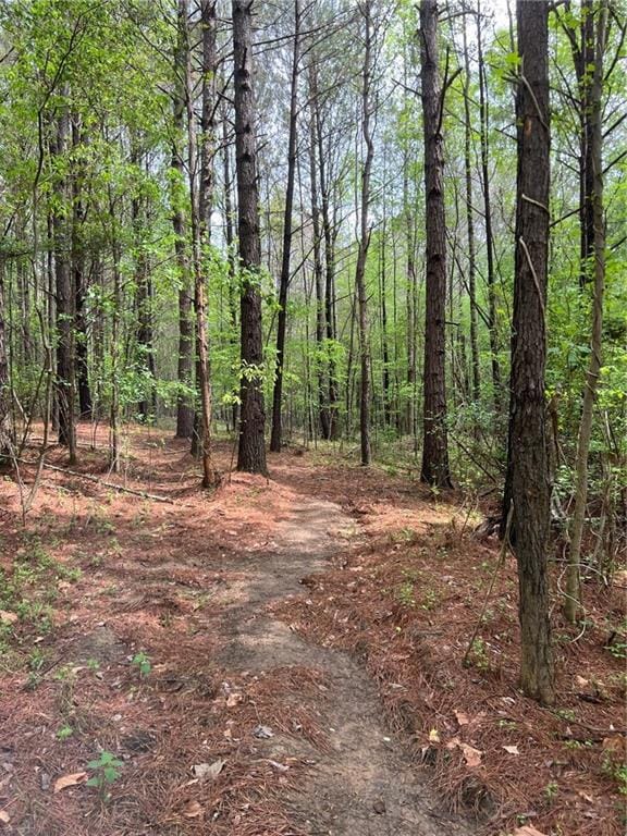 0 Willingham Dr, Fayetteville, GA 30214 - photo 1