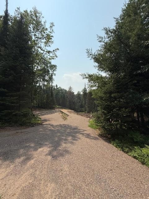 Pcl 41 PRT NW Sw -, Plum Lake, WI 54512 - photo 1