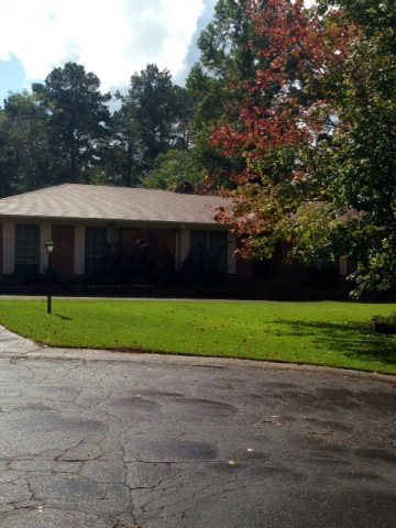 Main View