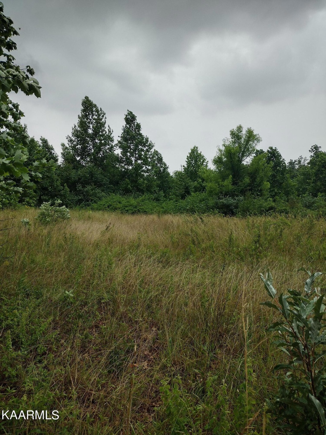 IMG_20220606_180118928_HDR