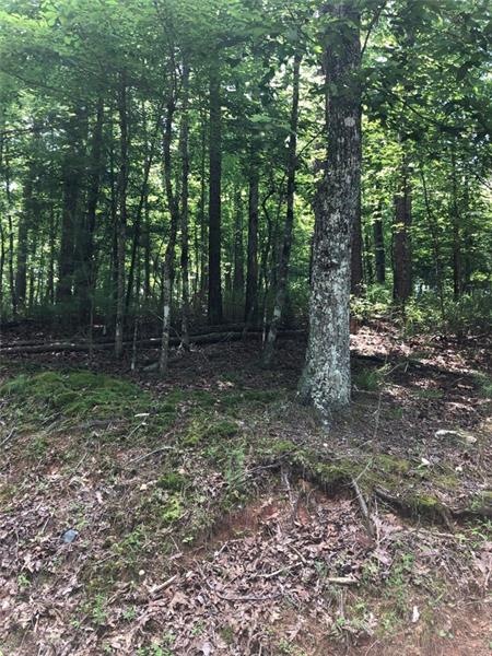 0 Cypress Cir unit 6741608, Ellijay, GA 30540 - photo 1