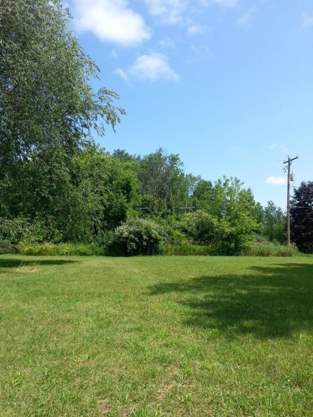 Wise Rd Greenville .