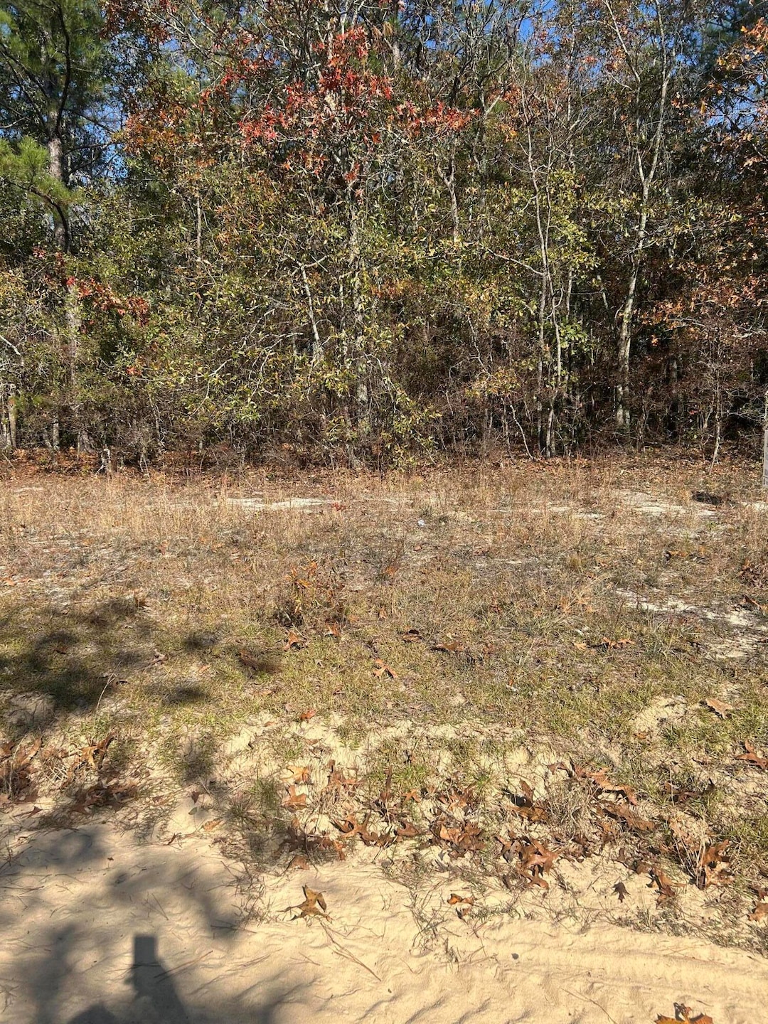 0 Hawthorn Trail, Saint Matthews, SC 29135 - photo 1