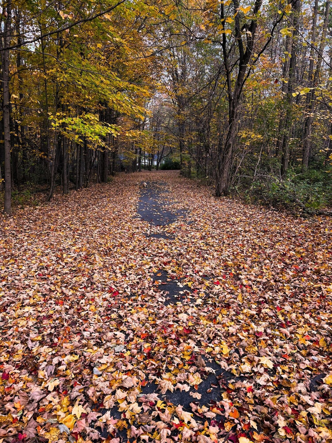 864 O'Neil Rd, West Chazy, NY 12992 - photo 1