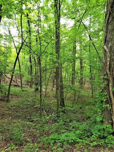 1077 Mayfield Ln NE, Ranger, GA 30734 - photo 1