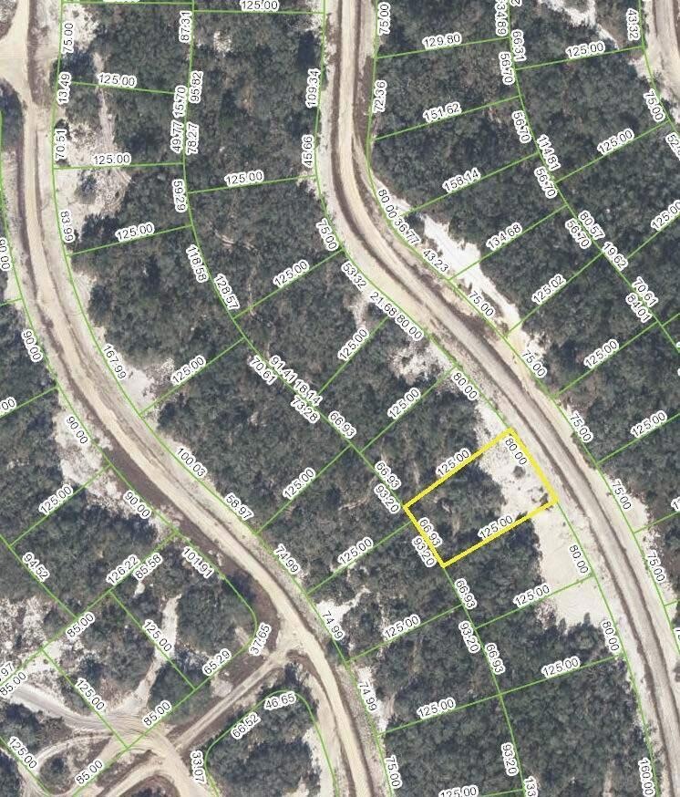 248 Dargen Dr, Lake Placid, FL 33852 - photo 1