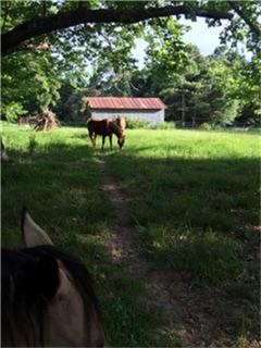 20315 Fm 1488 Rd, Magnolia, TX 77355 - photo 1