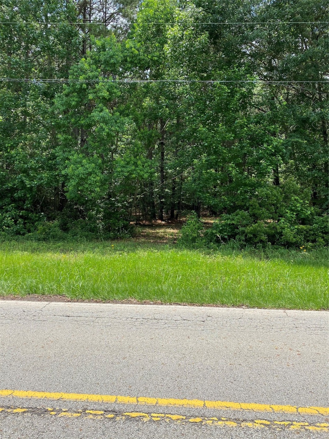 10356 Daw Collins Rd, Cleveland, TX 77328 - photo 1