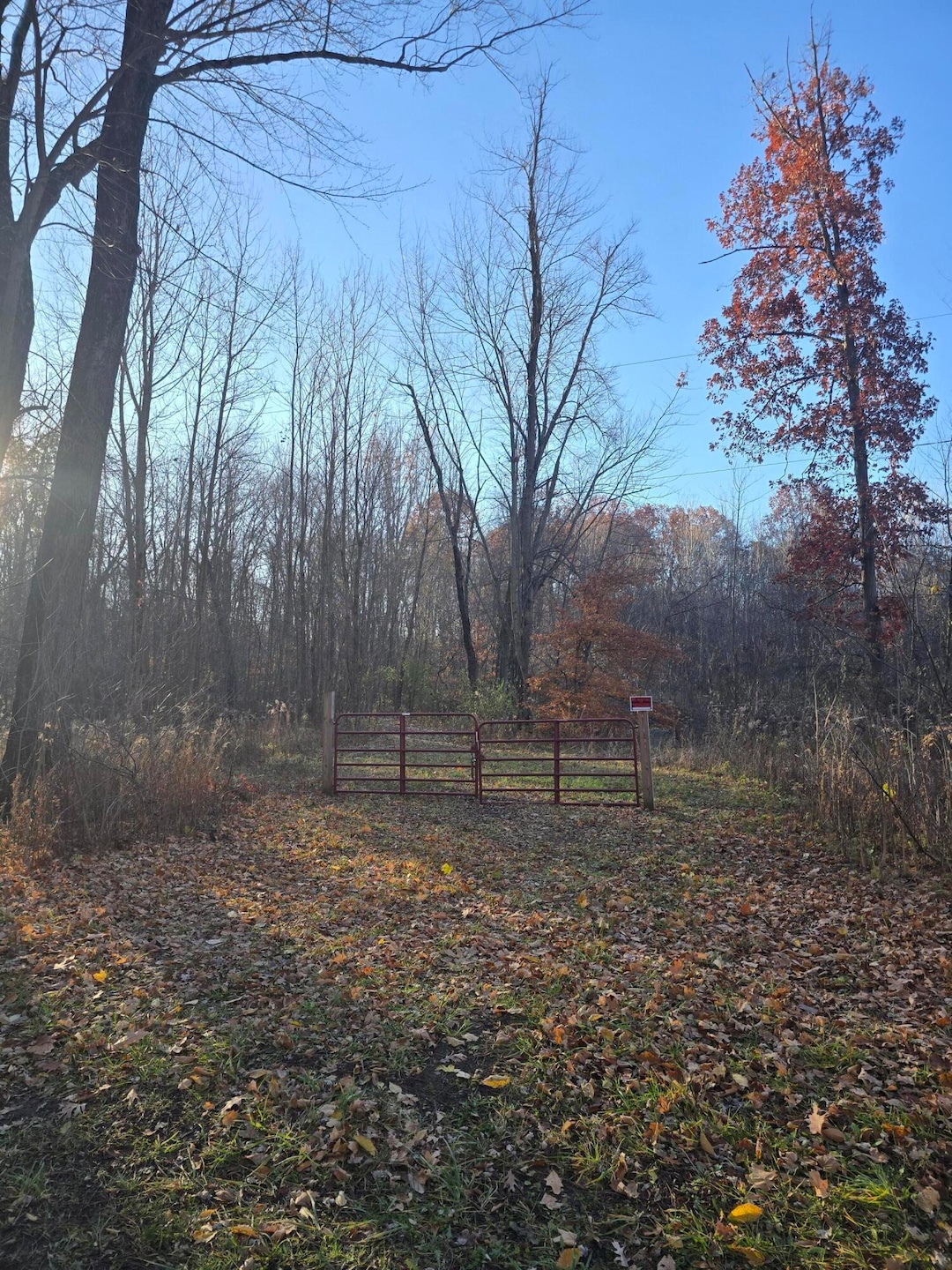 VL Marcellus Hwy, Marcellus, MI 49067 - photo 1