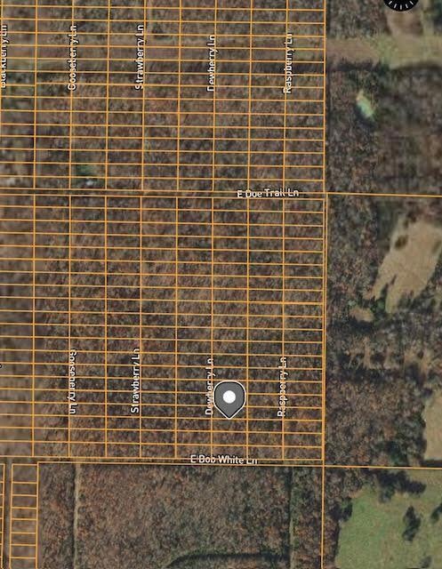 1312 Dewberry Ln, Horseshoe Bend, AR 72512 - photo 1