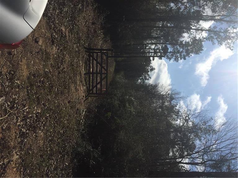 24375 Pope Rd, Franklinton, LA 70438 - photo 1