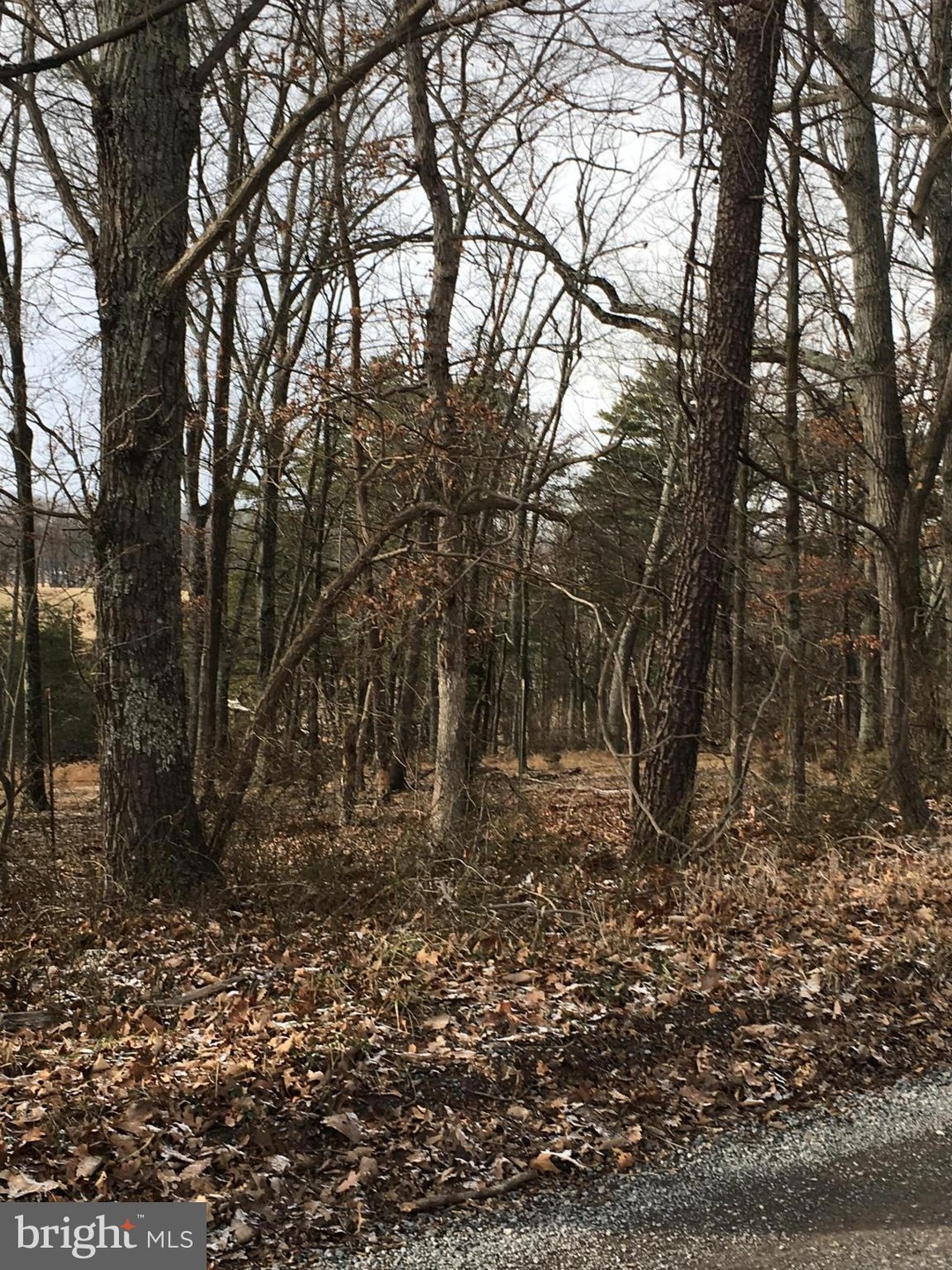 0 Hunting Ridge Rd unit 1001330505, Winchester, VA 22603 - photo 1