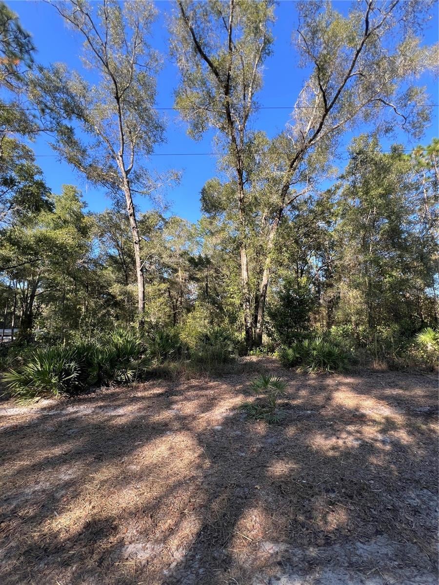 TBD SE 179th Place, Summerfield, FL 34491 - photo 1
